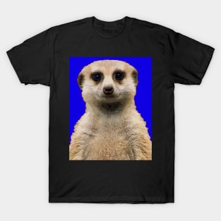 meerkat T-Shirt